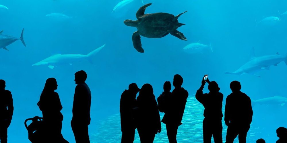 Sea-Life-Benalmadena