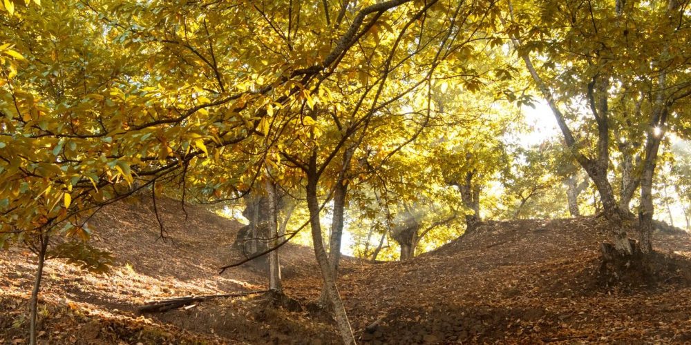 visitar-costa-del-sol-octubre.jpg